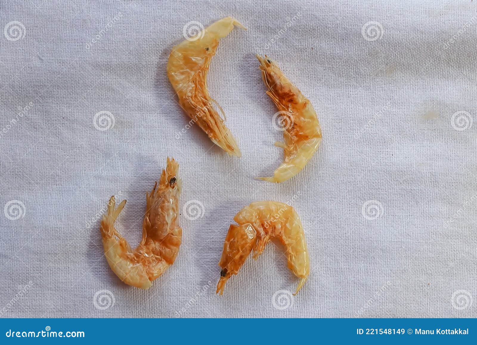 dried shrimpÃÂ areÃÂ shrimpÃÂ that have been sun-dried and shrunk to a thumbnail size.